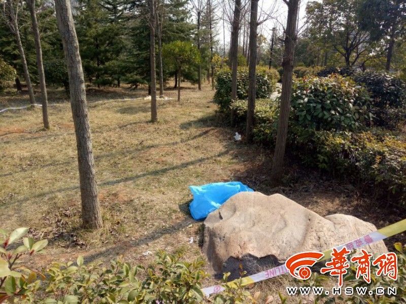 惊悚!丹江公园发现女尸 警方初步调查系服毒自杀