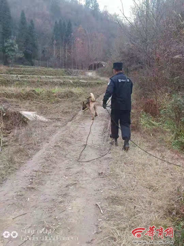 QQ图片20181202174758.jpg