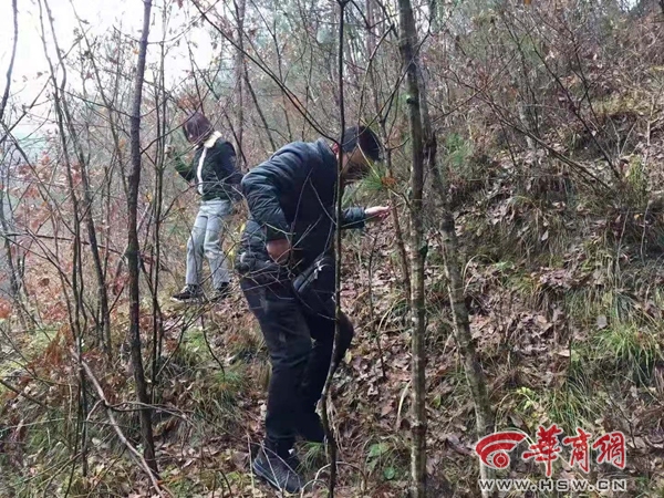 QQ图片20181202174801.jpg
